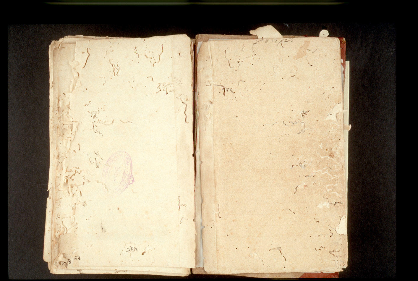 Folios 538v (right) and 539r (left)