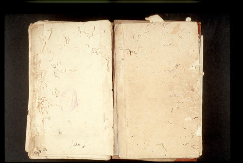 Folios 538v (right) and 539r (left)