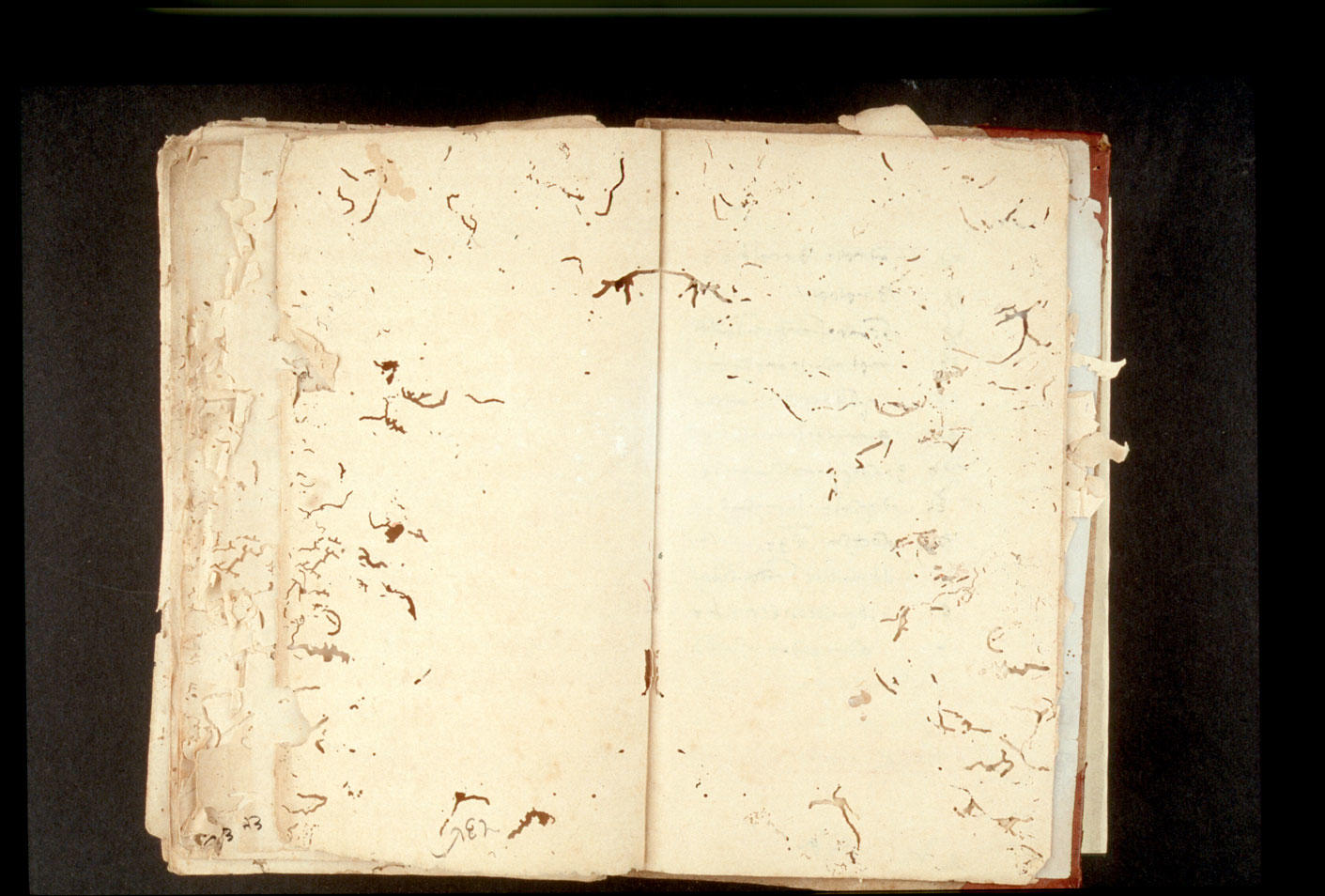 Folios 539v (right) and 540r (left)