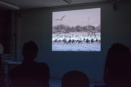 Foto: Hubert Graml / FOTOLABOR-KHI