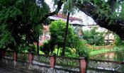 Rajshahi College, Garten (Foto: Isabell Johne)