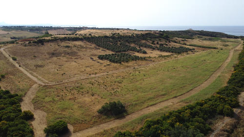 Fig. 3: View of the western half of Selinunte from the Northwest. The flat western city district lies in the foreground, with the Manuzza plateau and the Acropolis in the background.