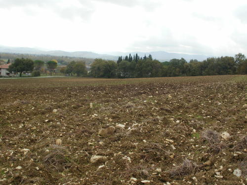 Fig. 2. Ploughed fields.