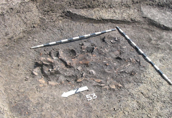 Frühjungsteinzeitliche Grube - verfüllt mit Gefäßscherben und Knochen