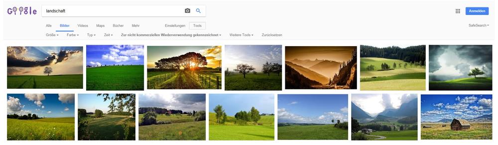 Google-Bildersuche