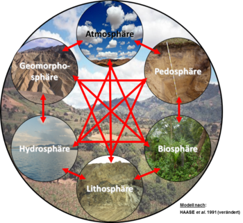 Das Landschaftssystem mit seinen einzelnen Komponenten (verändert nach Steinhardt et al. 2012 und Haase et al. 1991)