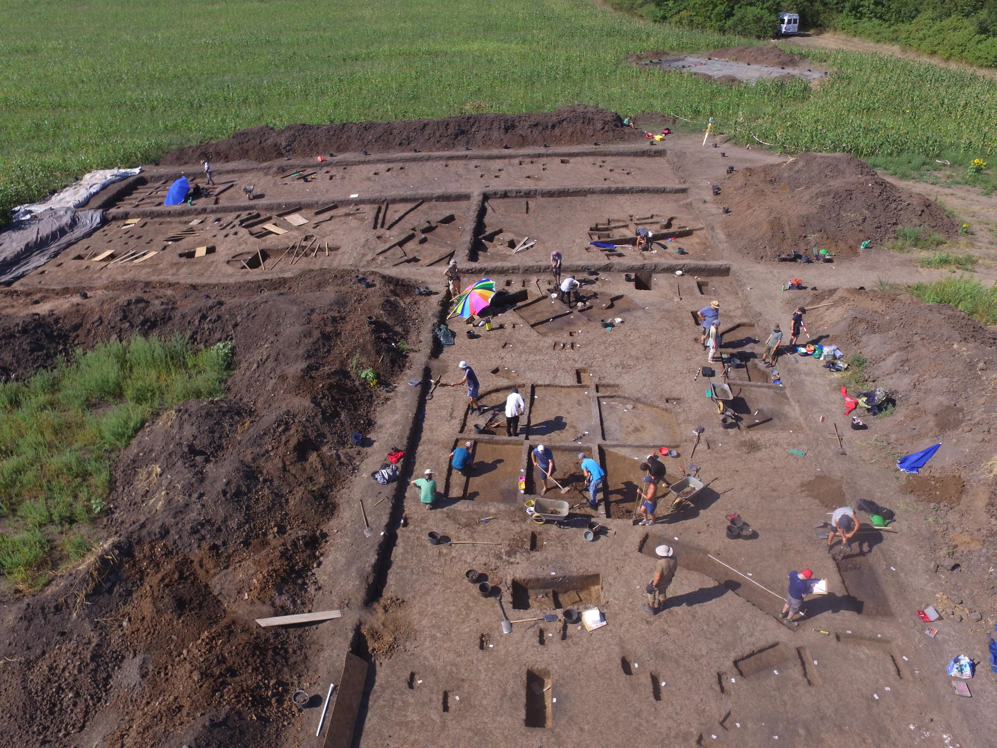 Grabungsarbeiten Planum