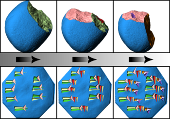 Diagram for succession in surface formation of (top) a large cutting tool and (bottom) a cuneiform table