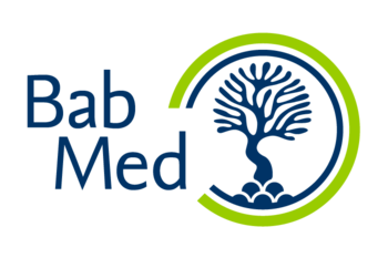 BabMed