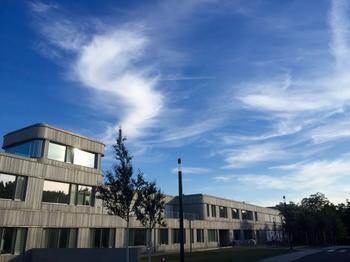 Source: Victoria Mummelthei (victoria.mummelthei@fu-berlin.de)