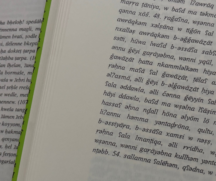 Semitic Studies