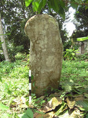 In Tanah Datar, rounded stones were erected as burial markers. This kris-shaped megalith was investigated at the village Saruasa Timur.