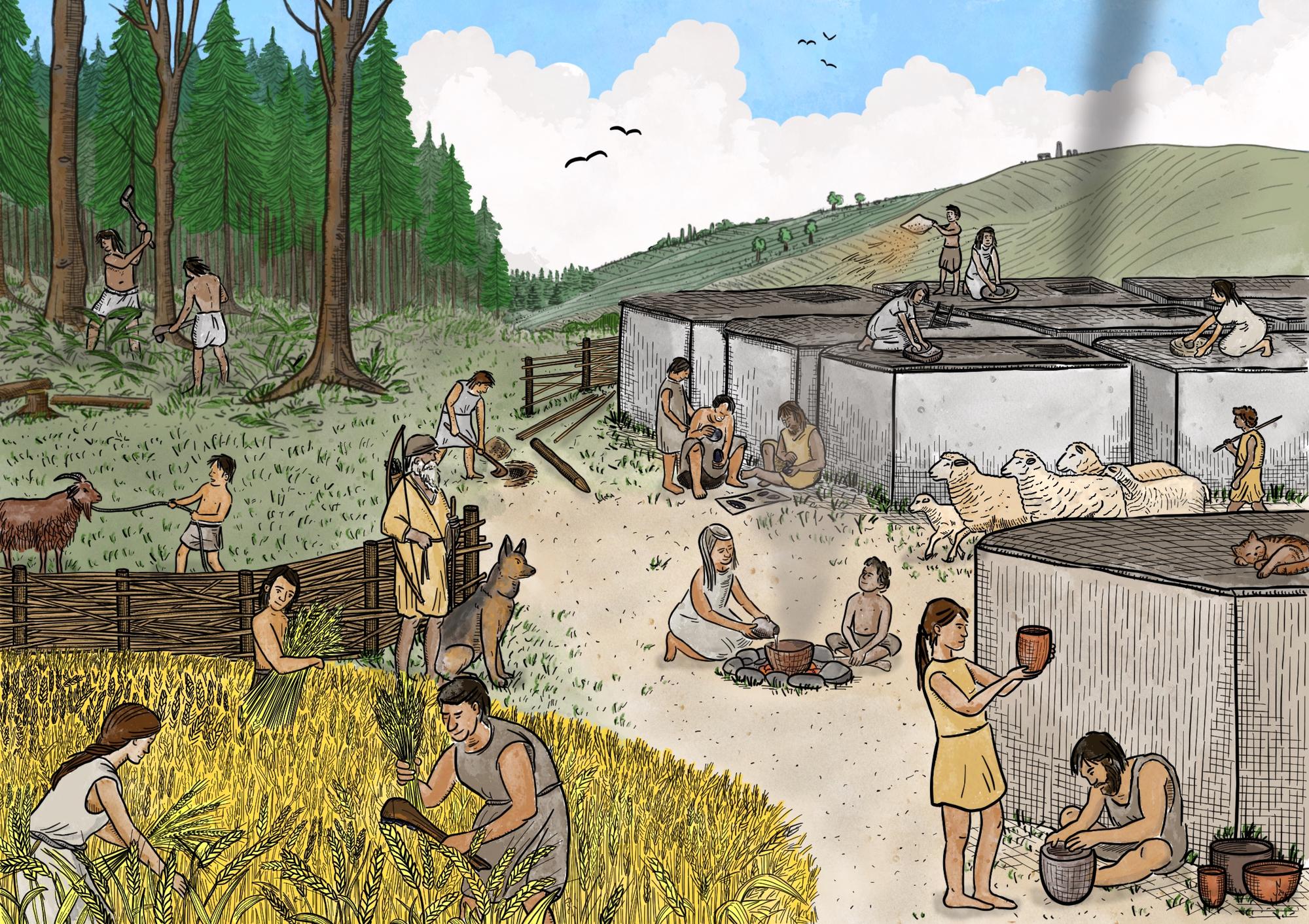 Neolithic Package (Jens Notroff)