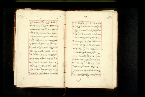 Folios 80v (right) and 81r (left)