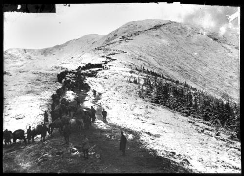 Advance of the Alpine Corps over the Fogaraser mountain-range, ascent to the Moscovul Pass [October/November 1916]
