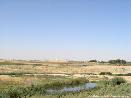 Fig. 2: The main mound of Tell Fekheriye as seen from the east. In the foreground the dried out river bed of the Khabur River with one of the few still active spring ponds is situated