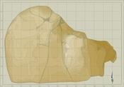 Fig. 1: Topographical plan of Tell Fekheriye