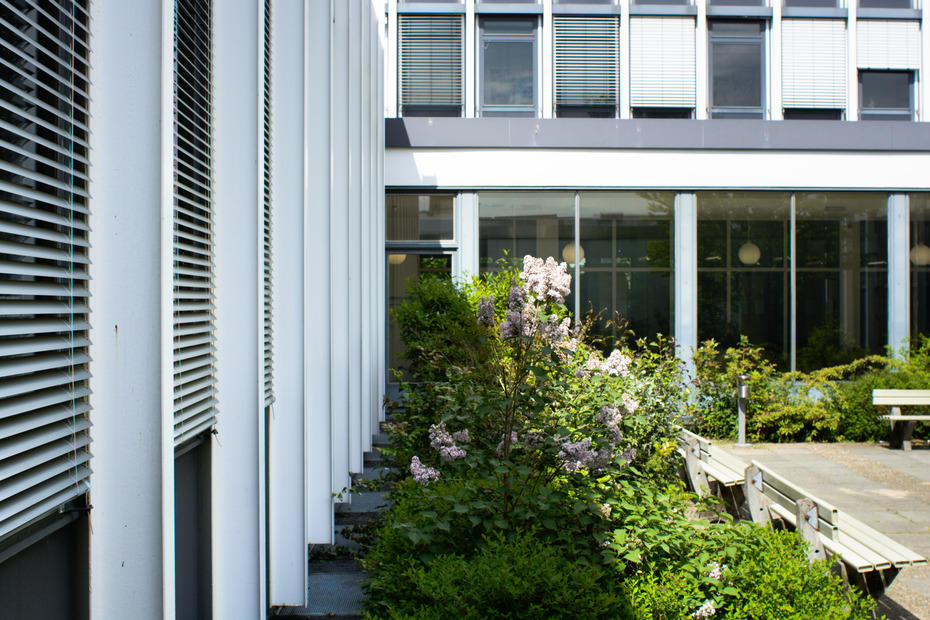 Blumen Koserstr banner